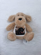 Memory Teddy