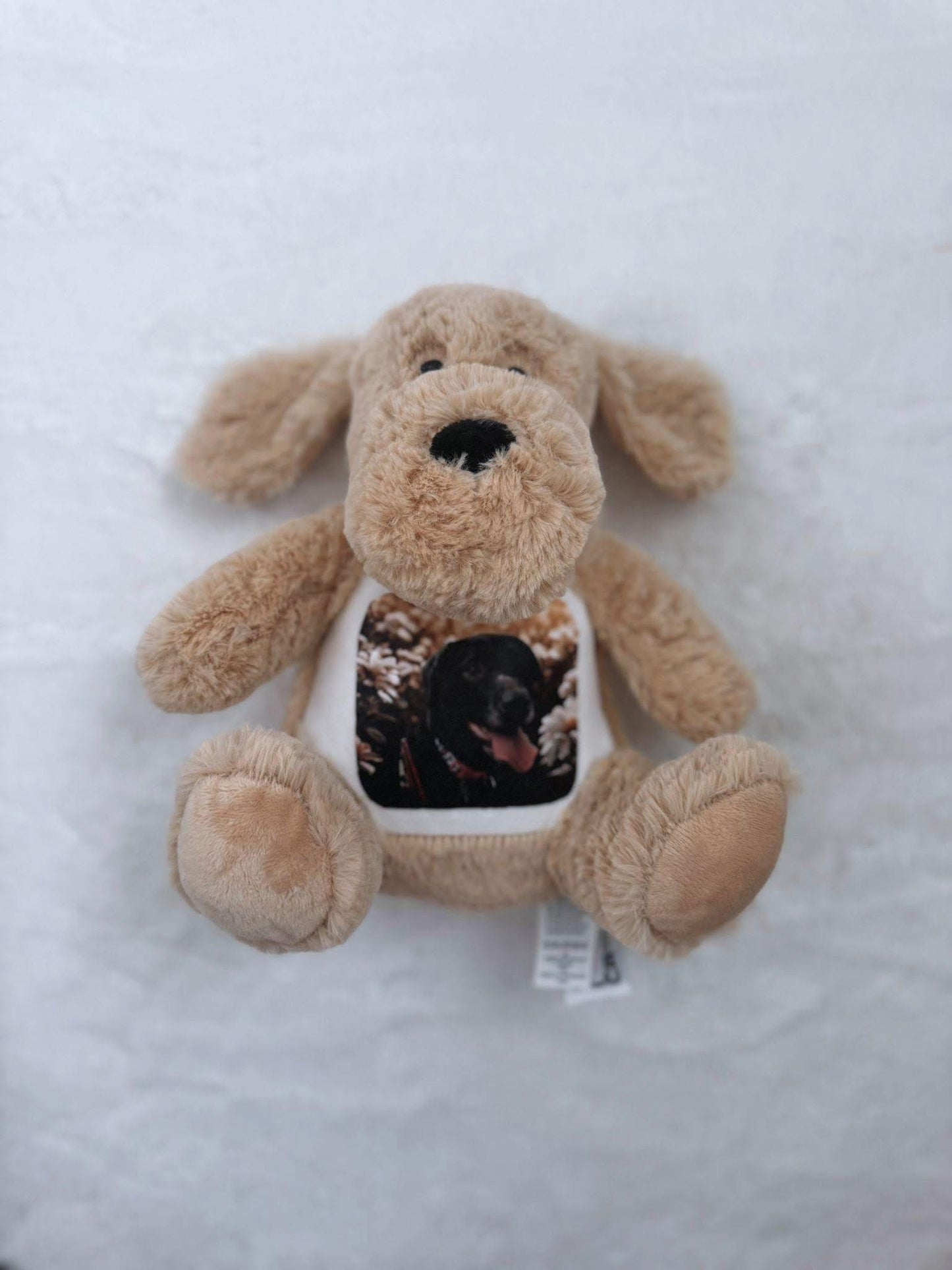 Memory Teddy